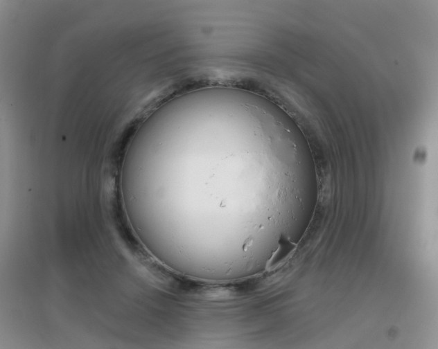 X0000096950456200802080924