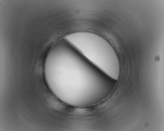X0000096950457200802080924
