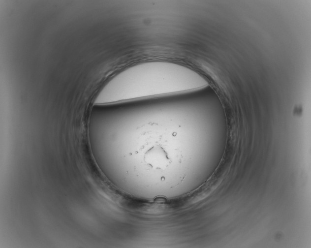 X0000096950459200802080924