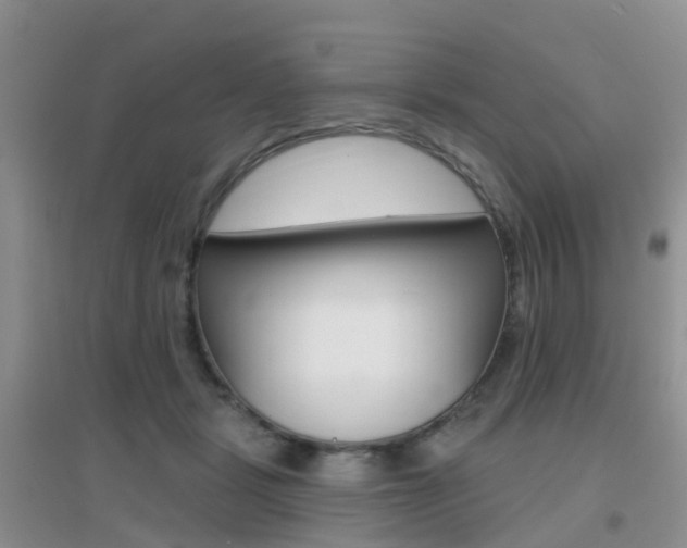 X0000096950461200802080925