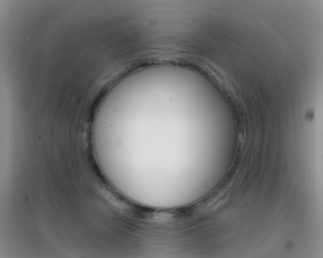 X0000096950462200802080925
