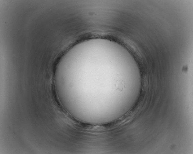X0000096950463200802080925