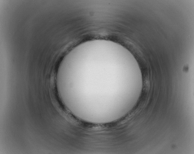X0000096950468200802080925