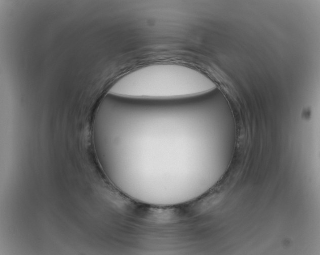 X0000096950469200802080925