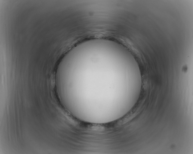 X0000096950471200802080925