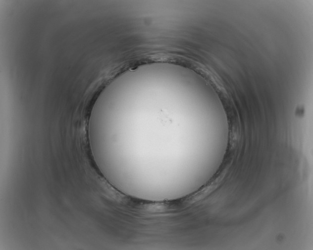 X0000096950473200802080925