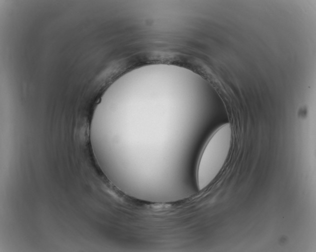 X0000096950474200802080925