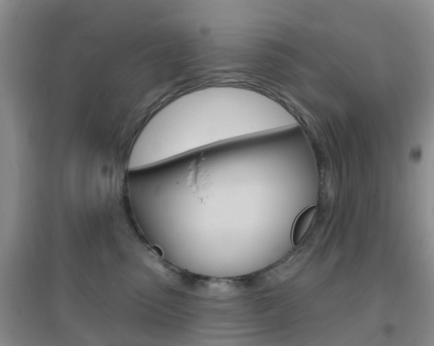 X0000096950475200802080925