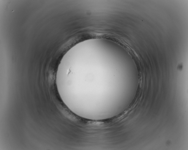 X0000096950476200802080925