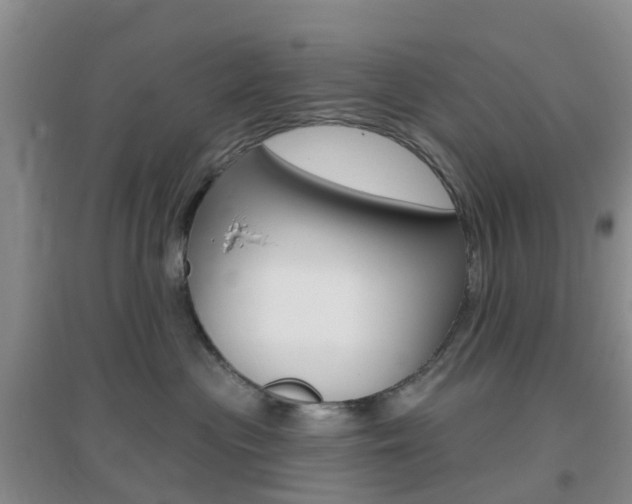 X0000096950477200802080925