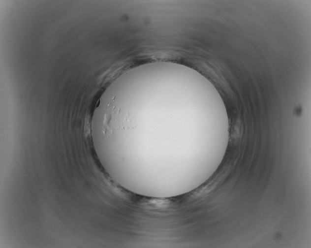 X0000096950478200802080925