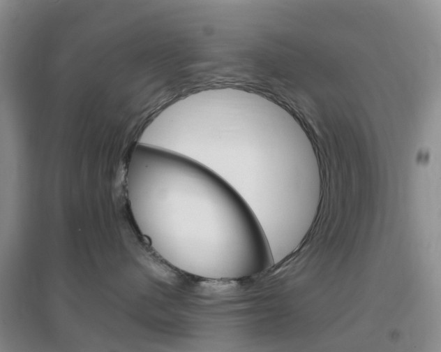 X0000096950480200802080925