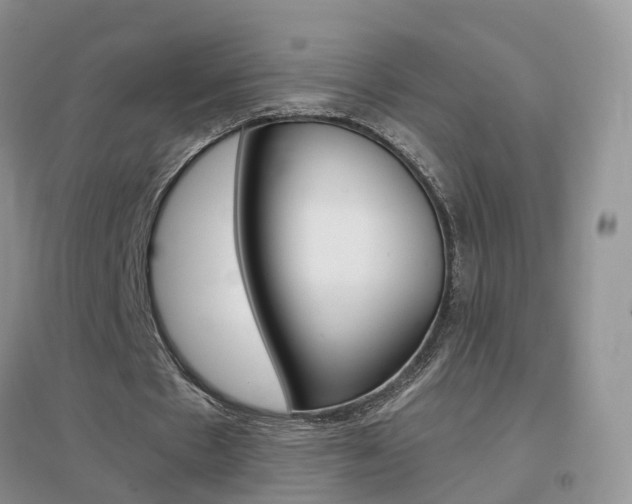 X0000096950481200802080924