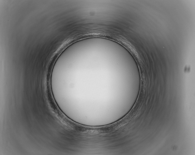 X0000096950482200802080924