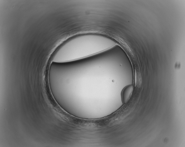 X0000096950483200802080924