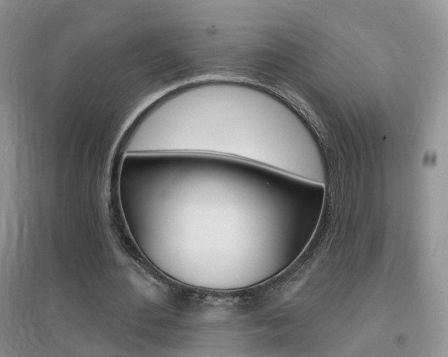 X0000096950484200802080924