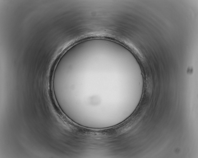 X0000096950486200802080924