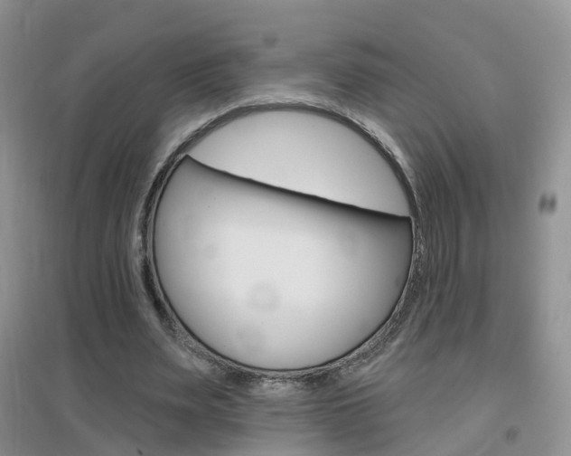 X0000096950487200802080924