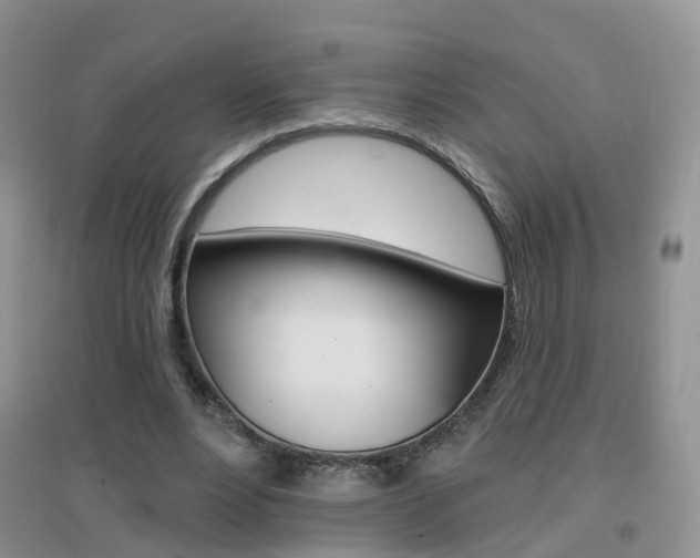 X0000096950488200802080924