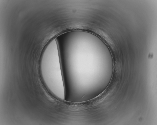 X0000096950489200802080924