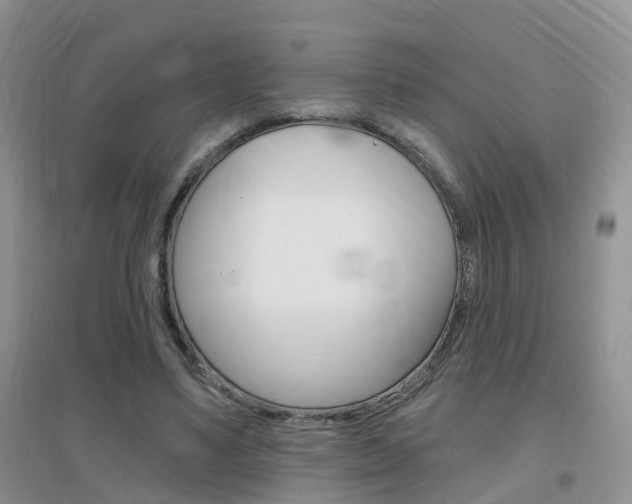 X0000096950491200802080924