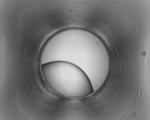 X0000096950492200802080924