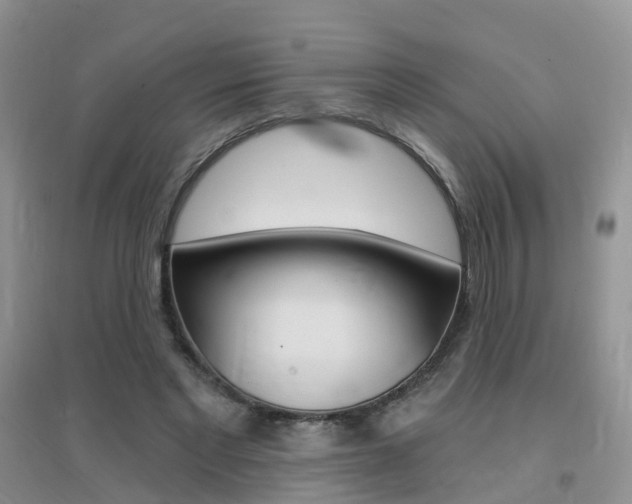 X0000096950493200802080924