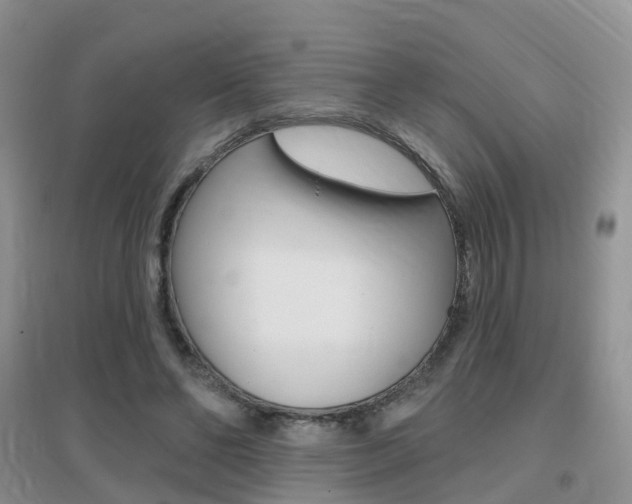 X0000096950494200802080924