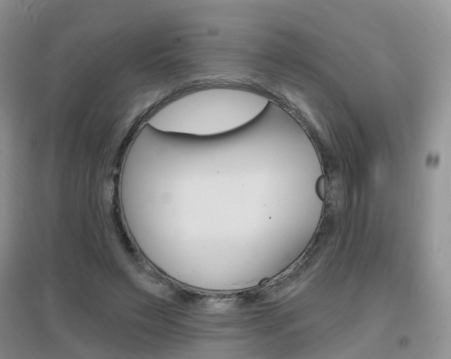X0000096950495200802080924