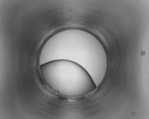 X0000096950496200802080924