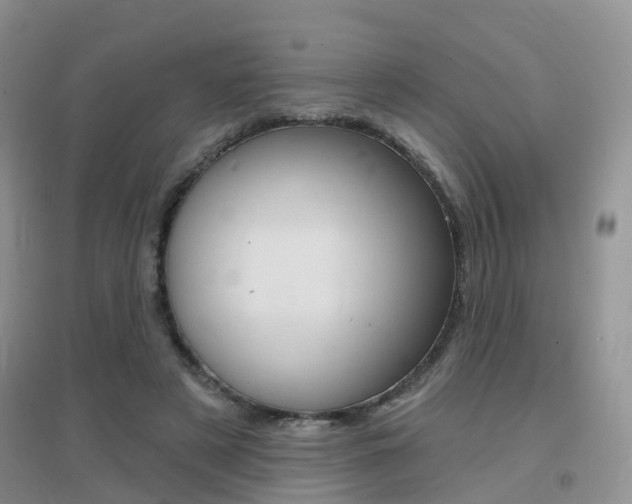 X0000096950497200802080924