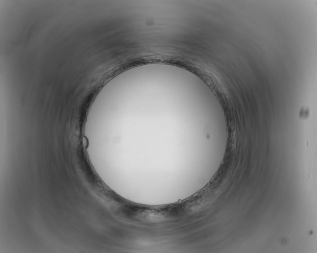 X0000096950498200802080924