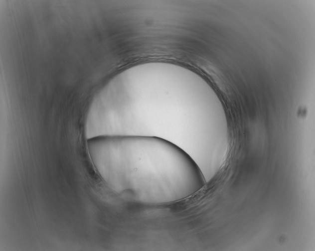 X0000096950499200802080924