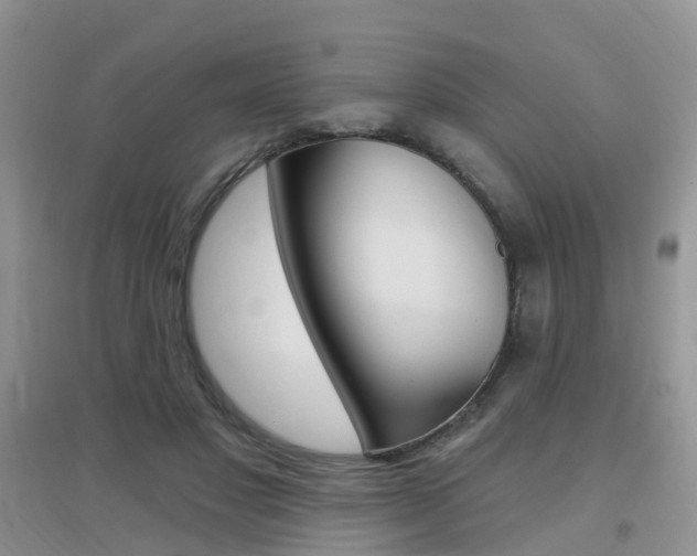 X0000096950501200802080924