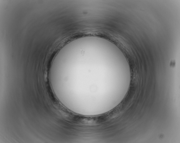 X0000096950502200802080924