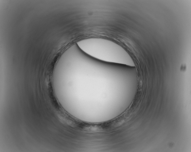 X0000096950503200802080924