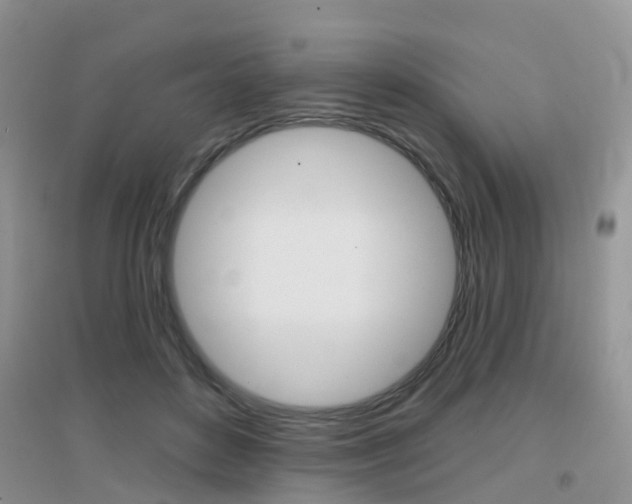 X0000096950504200802080924