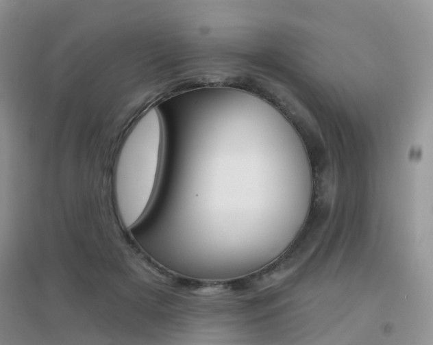 X0000096950505200802080924