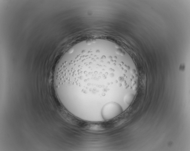 X0000096950507200802080924