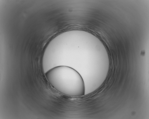 X0000096950508200802080924
