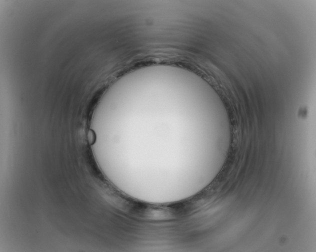 X0000096950510200802080924