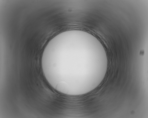 X0000096950512200802080924