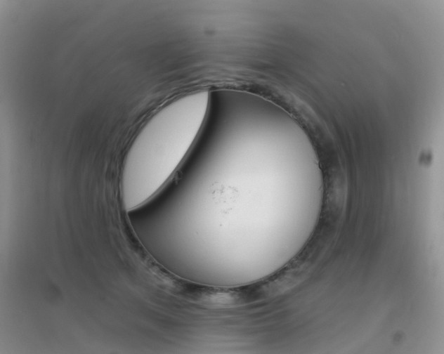 X0000096950513200802080924