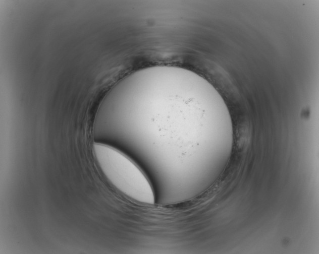 X0000096950515200802080924