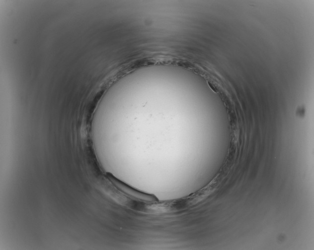 X0000096950516200802080924