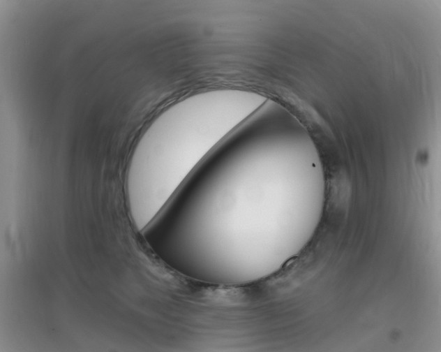 X0000096950517200802080924