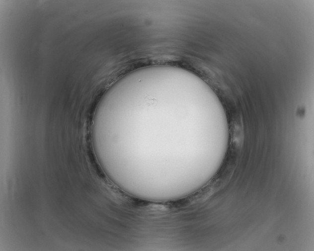 X0000096950519200802080924