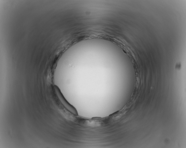X0000096950520200802080924