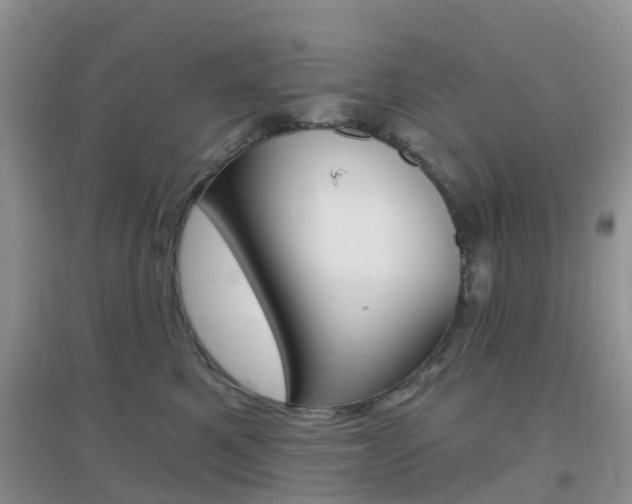 X0000096950521200802080924