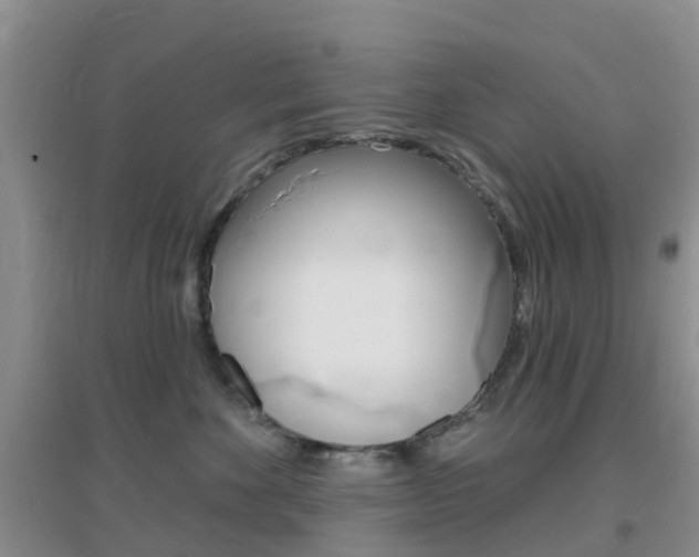 X0000096950524200802080924